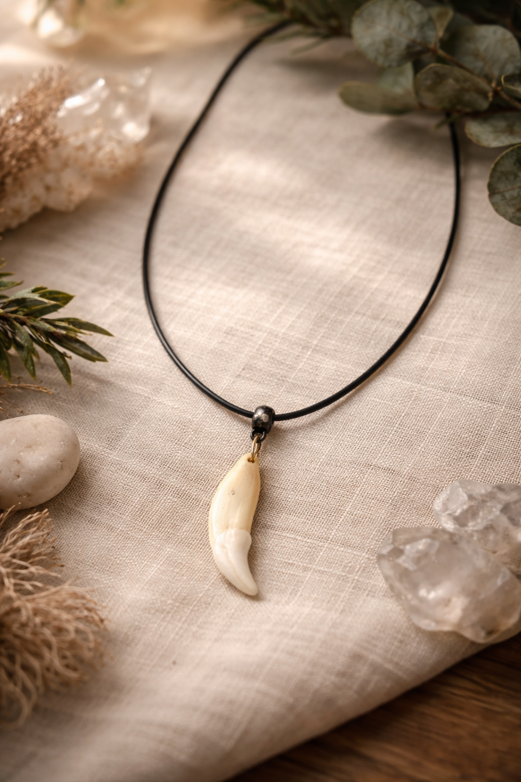 Collier Dent Naturelle – Force & Protection