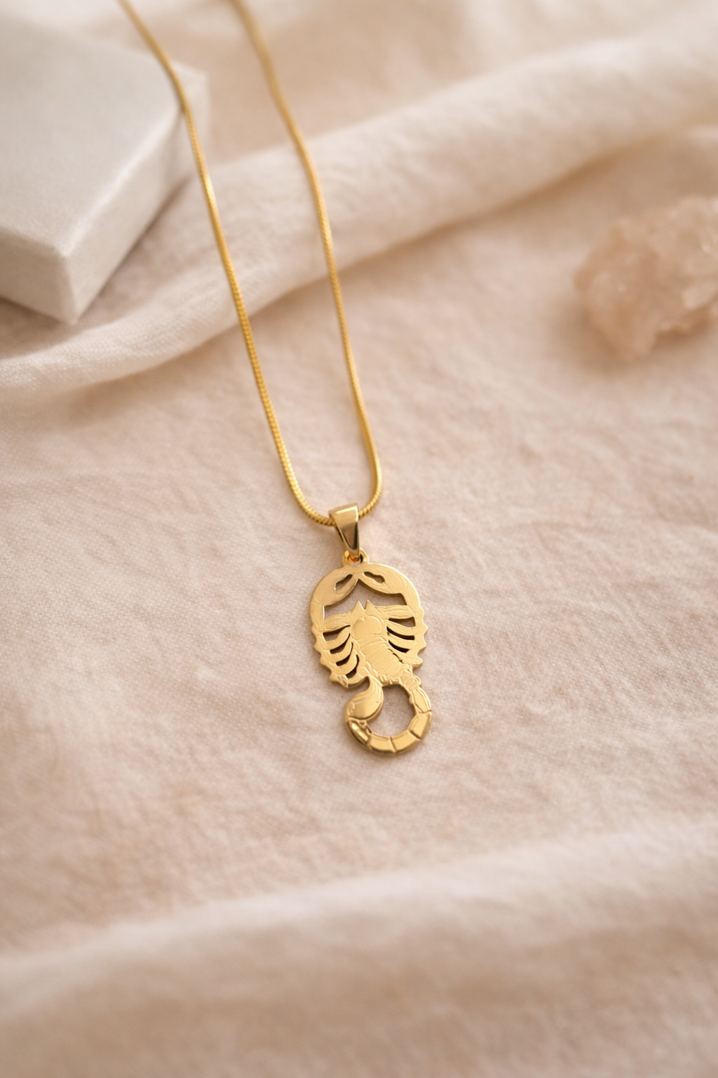 Collier Scorpion en acier inoxydable – Chaîne 35 cm